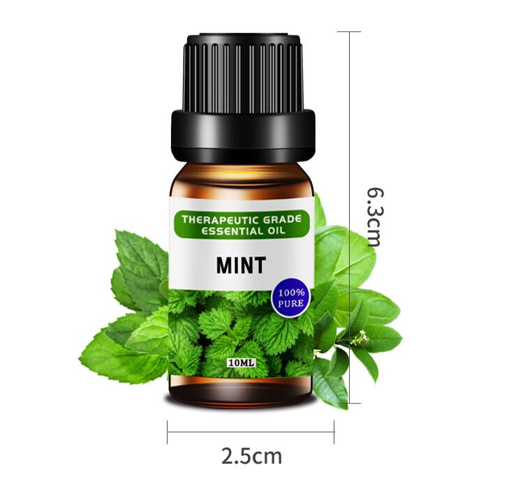 Essential Oil Set 12x10ml